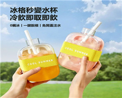 新潮冰格模具